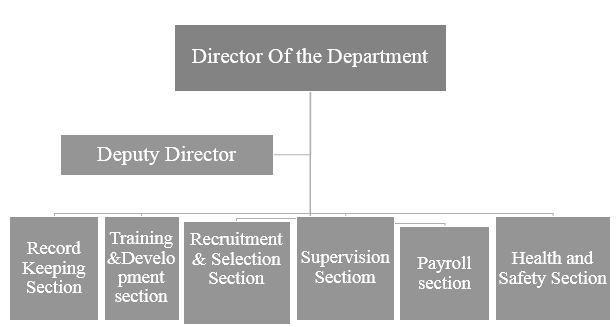 Human Resources Department Structure