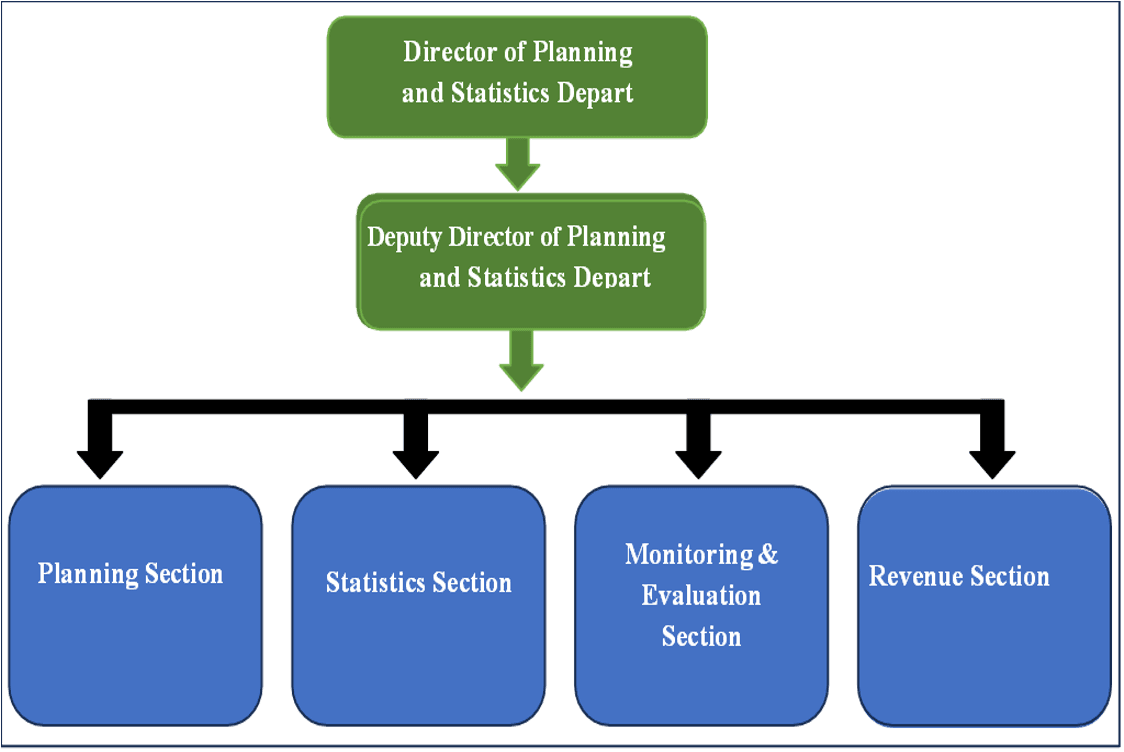 Planning & Statistics Department Structure