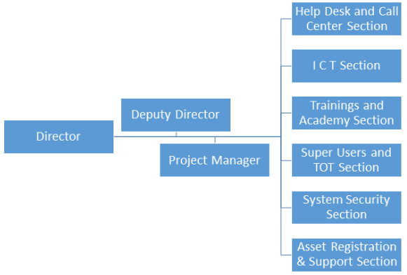IT Systems Department Structure