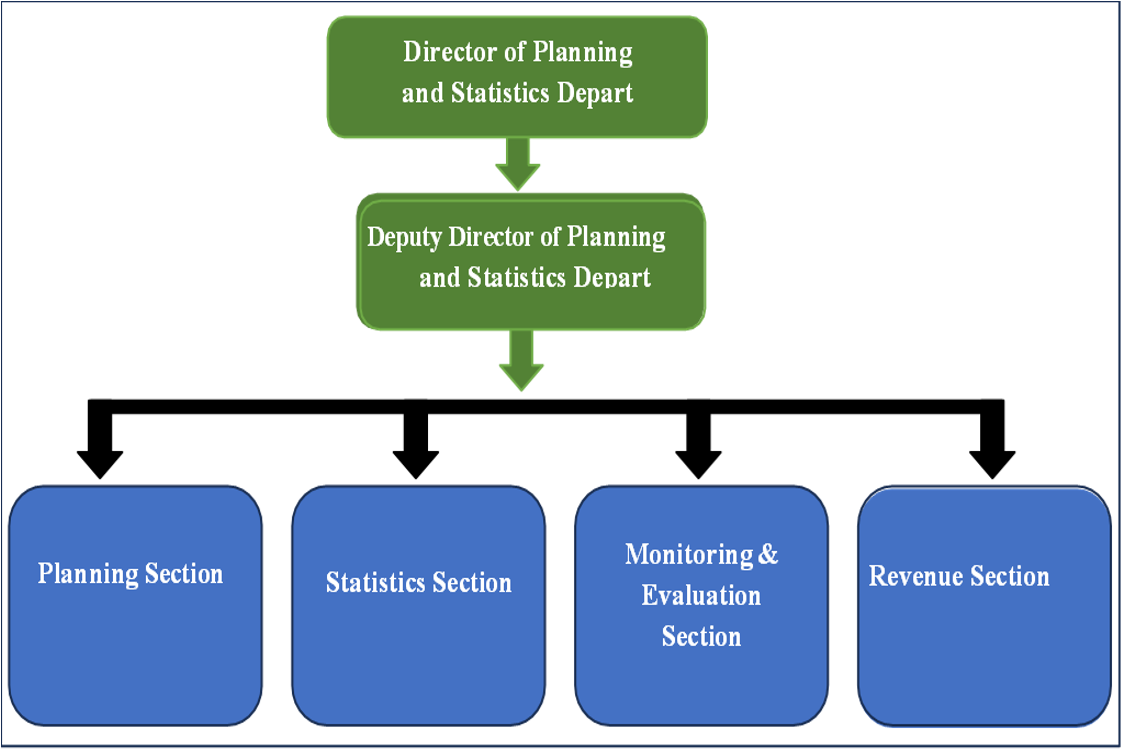 Planning & Statistics Department Structure